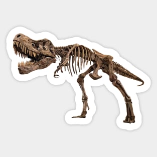 tyrannosaurus rex Sticker